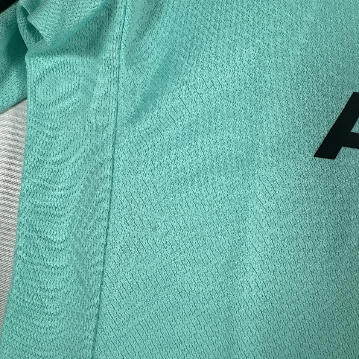 Brighton & Hove Albion 2025/2026 Training Football Shirt Medium BNWT