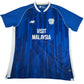 Cardiff City 2023/2024 Home Football Shirt 2XL