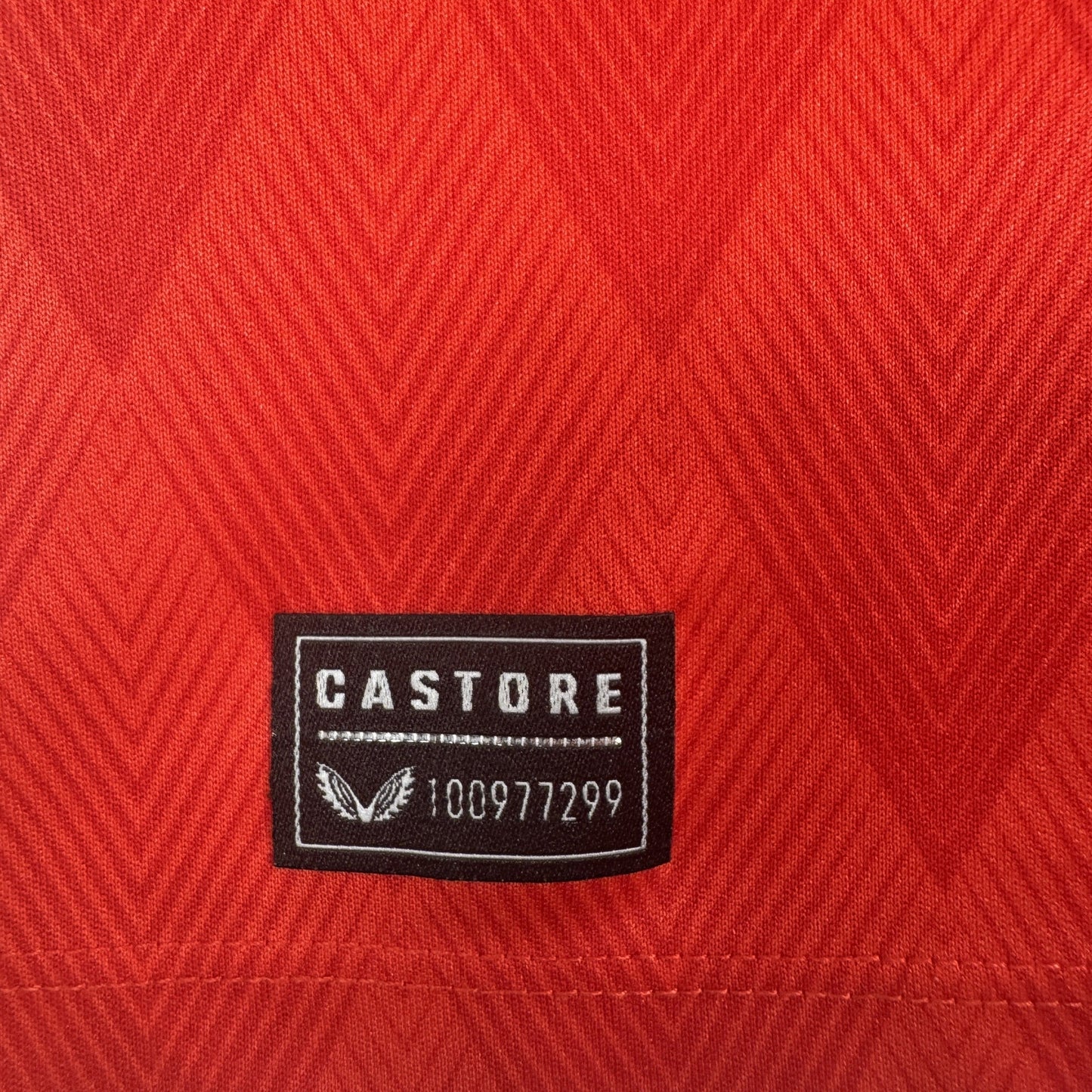 Charlton Athletic 2022/2023 Home Football Shirt Large