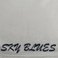 Coventry City 1997/1998 Away Football Shirt Large