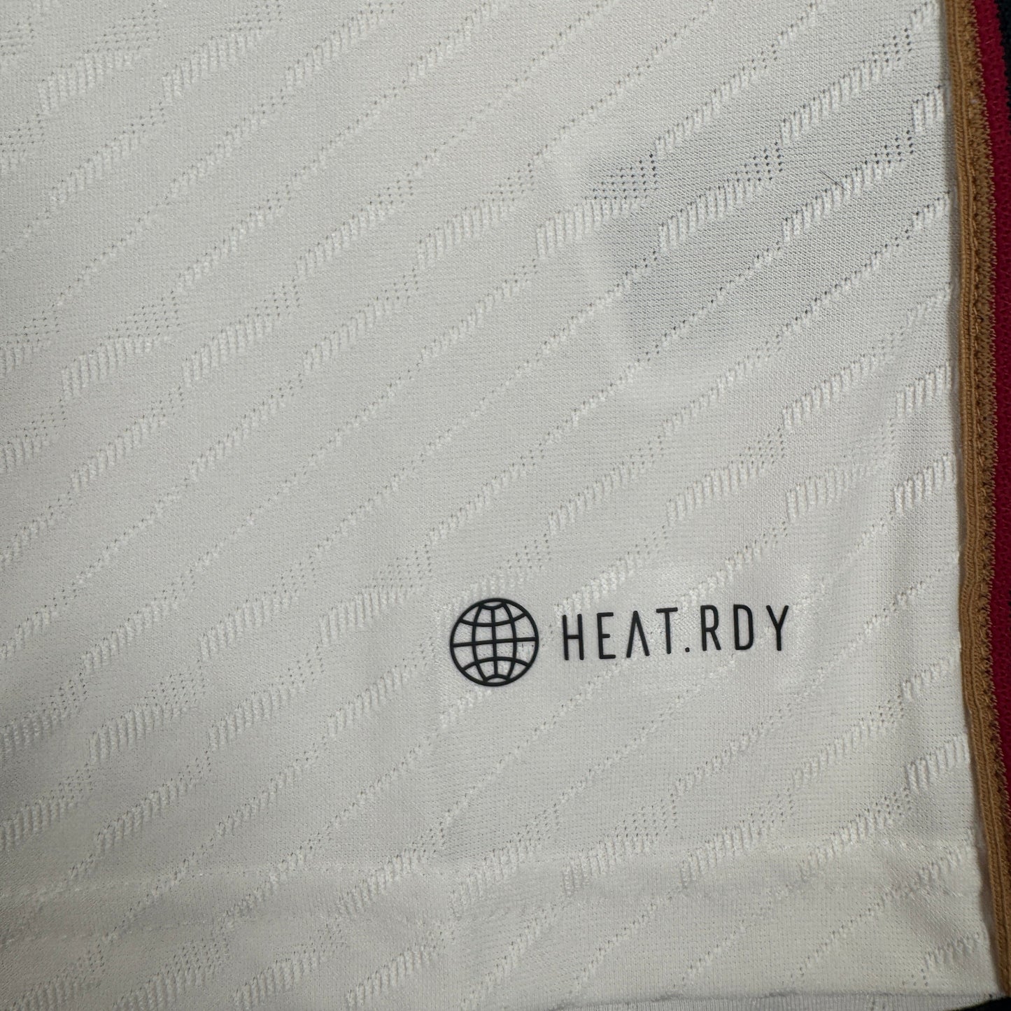 Germany 2022/2023/2024 Home Heat.RDY Shirt Small BNWT