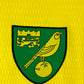 Norwich City 2021/2022 Match Worn/ Issued Home Shirt - Hanley 5