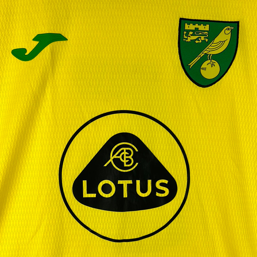 Norwich City 2021/2022 Match Worn/ Issued Home Shirt - Hanley 5