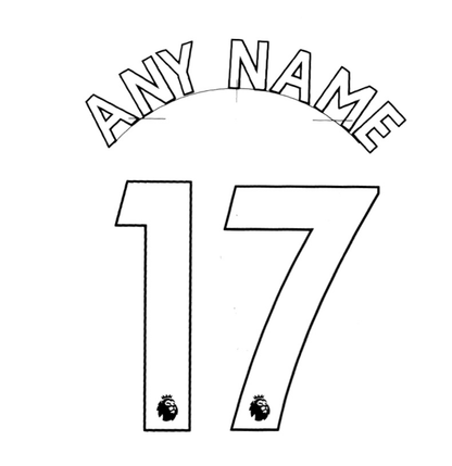 2017 - 19 Player Size Premier League Custom Name Set
