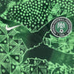 Nigeria 2022/2023/2024 Home Football Shirt Medium