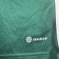 Northern Ireland 2022/2023/2024 Home Football Shirt Medium