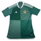 Northern Ireland 2022/2023/2024 Home Football Shirt Large