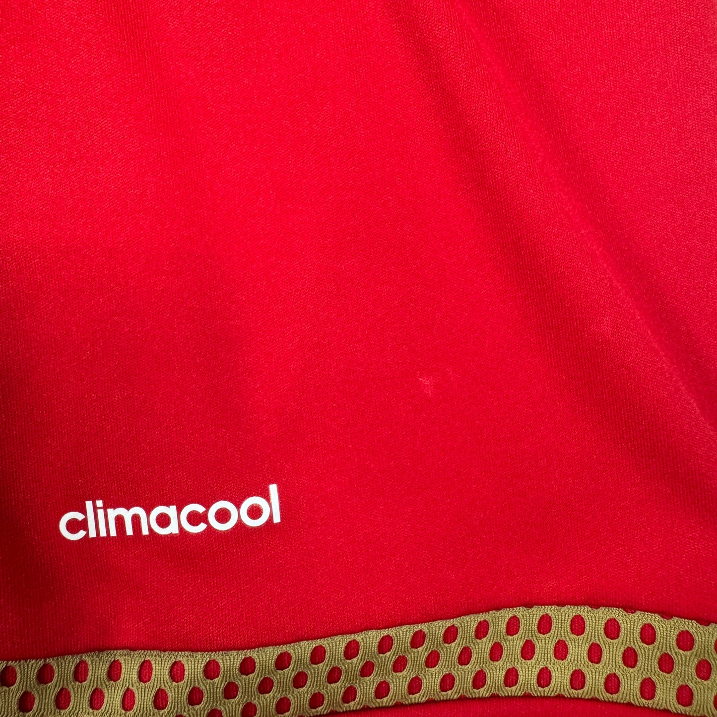 Nottingham Forest 2015/2016 Home Shirt 3XL