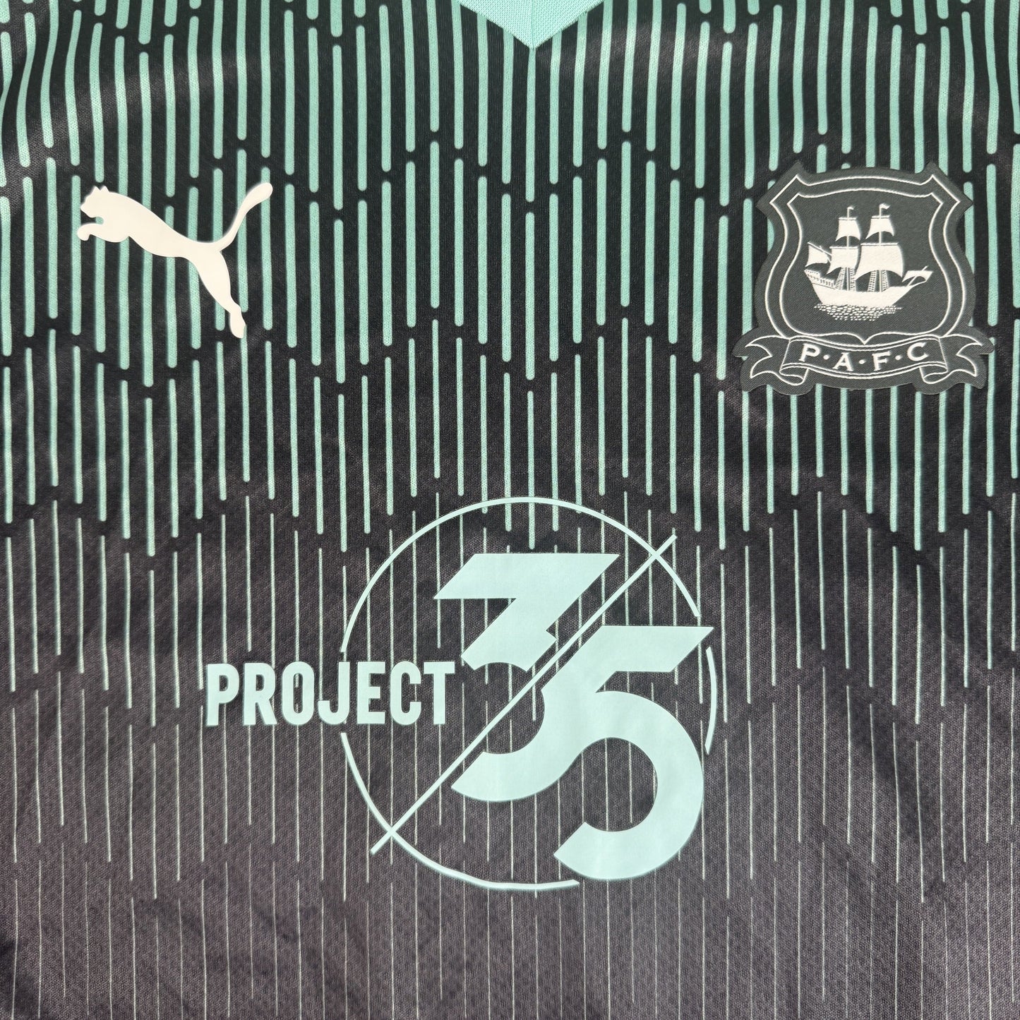 Plymouth Argyle 2022/2023 Third Shirt Medium