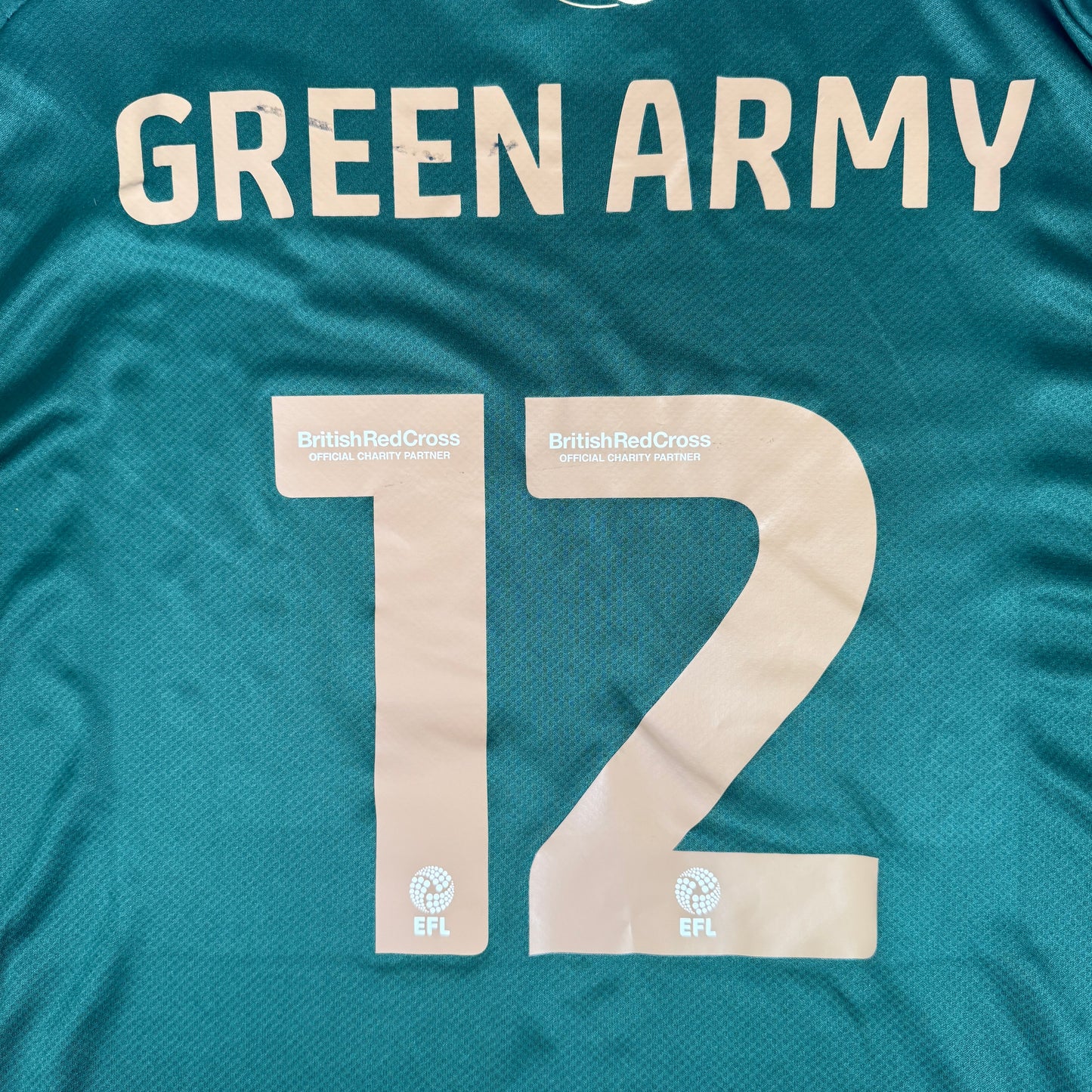 GREEN ARMY 12 Plymouth Argyle 2023/2024 Home Football Shirt 4XL