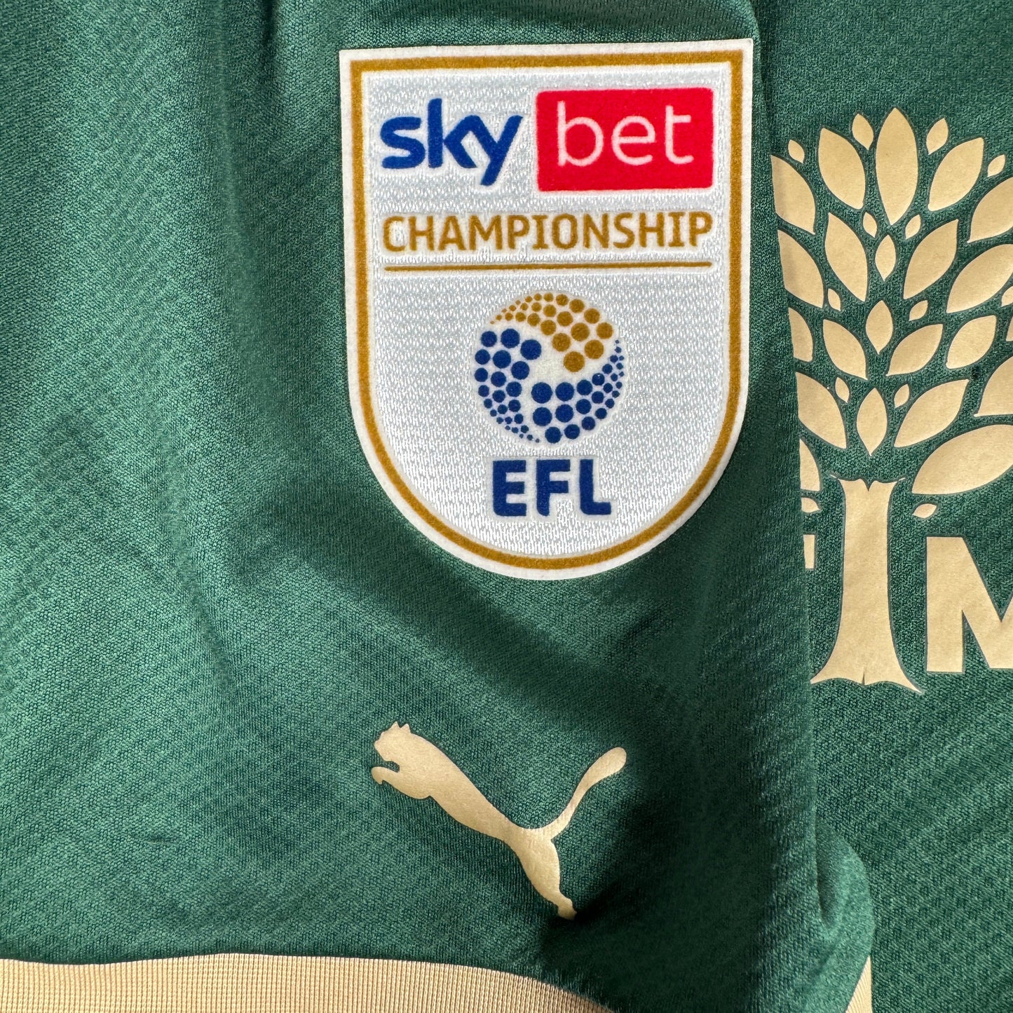 GREEN ARMY 12 Plymouth Argyle 2023/2024 Home Football Shirt 4XL