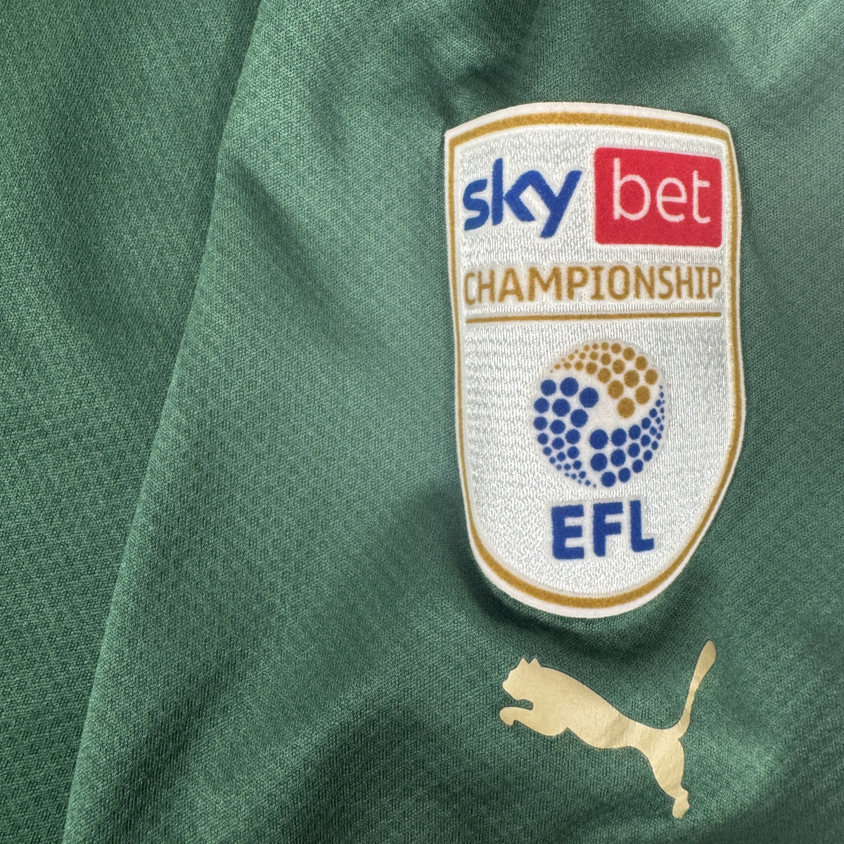 Plymouth Argyle 2023/2024 Home Football Shirt Large