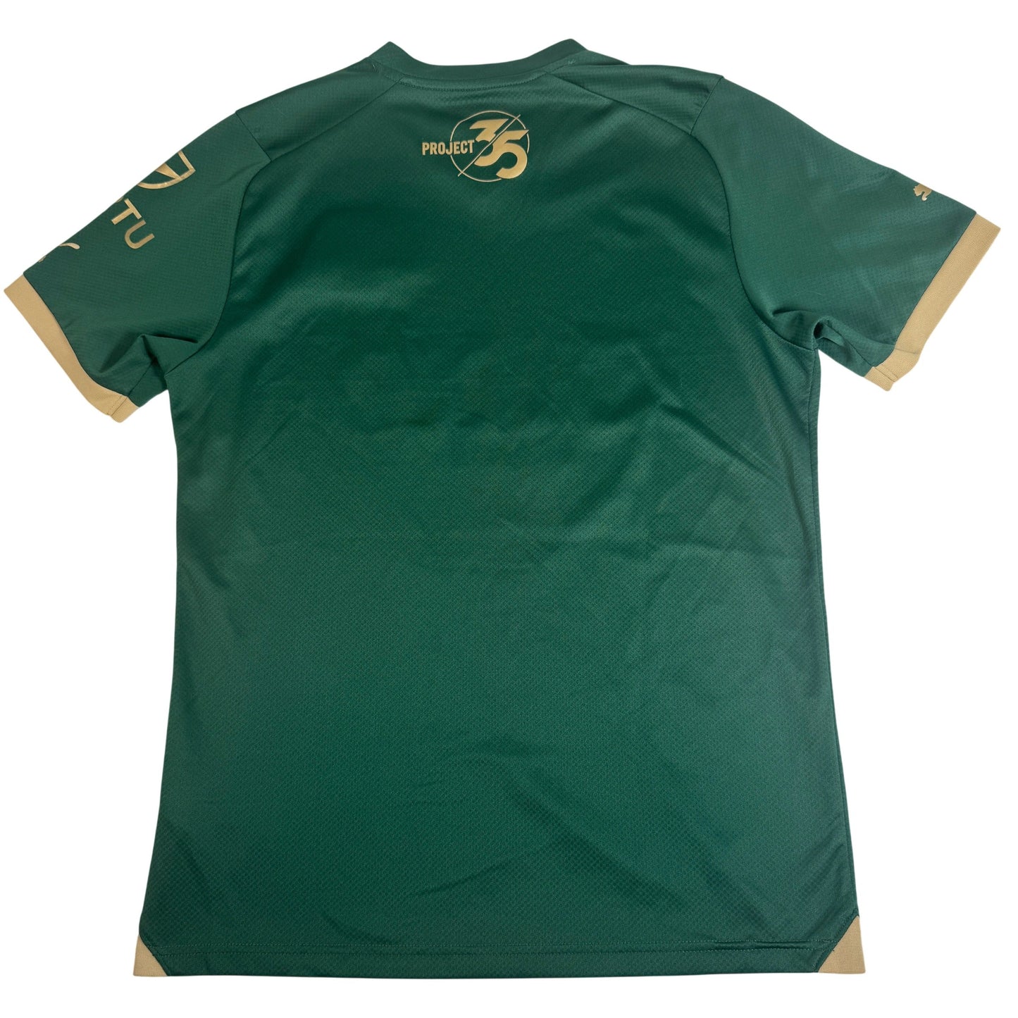 Plymouth Argyle 2023/2024 Home Football Shirt Medium