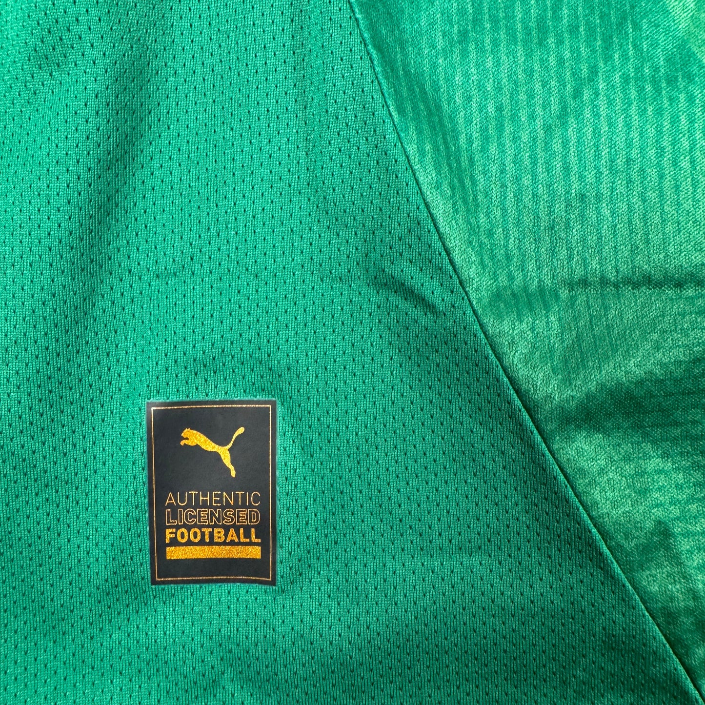 ROONEY Plymouth Argyle 2024/2025 Home Football Shirt 4XL