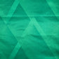 Plymouth Argyle 2024/2025 Home Football Shirt 4XL