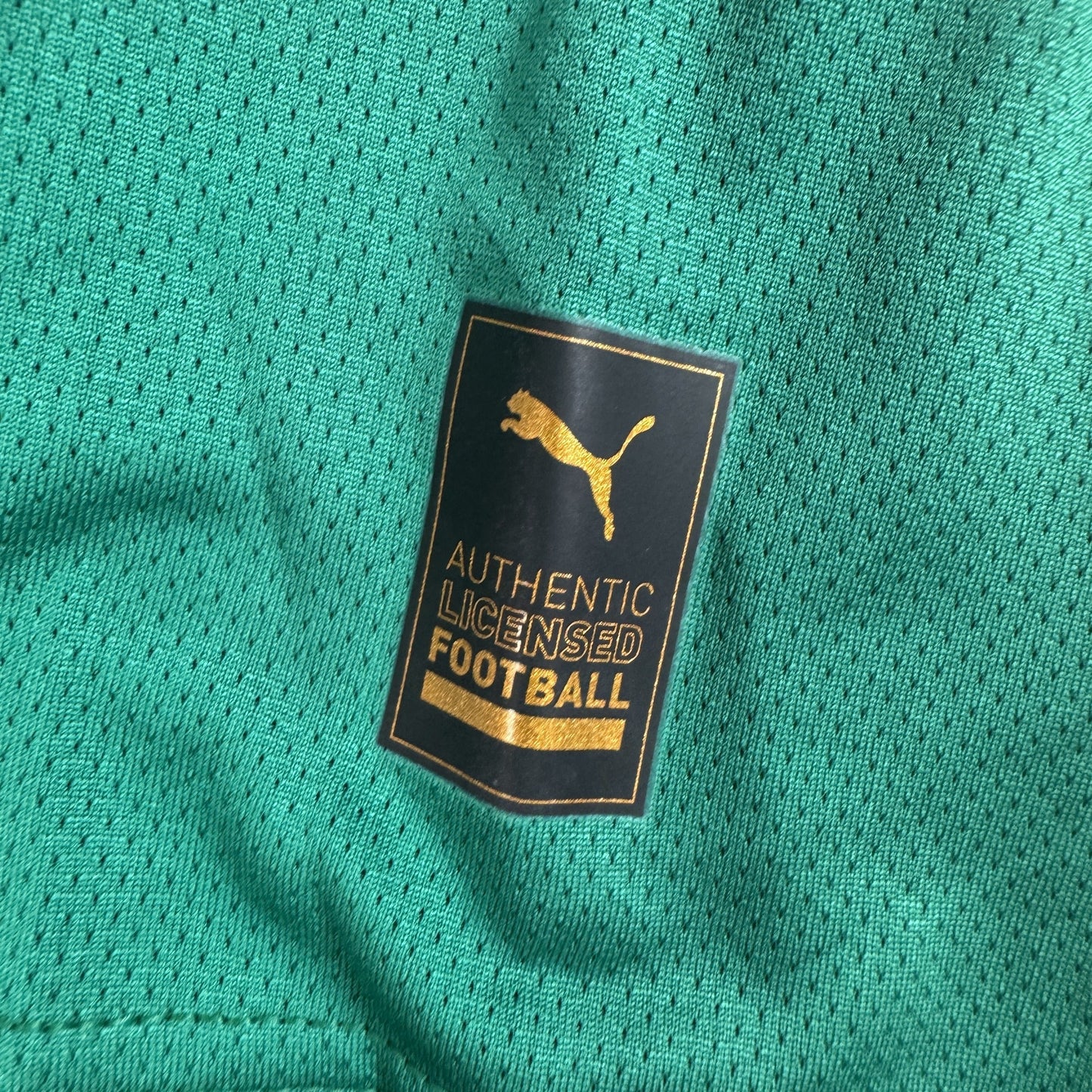 Plymouth Argyle 2024/2025 Home Shirt Large BNWT
