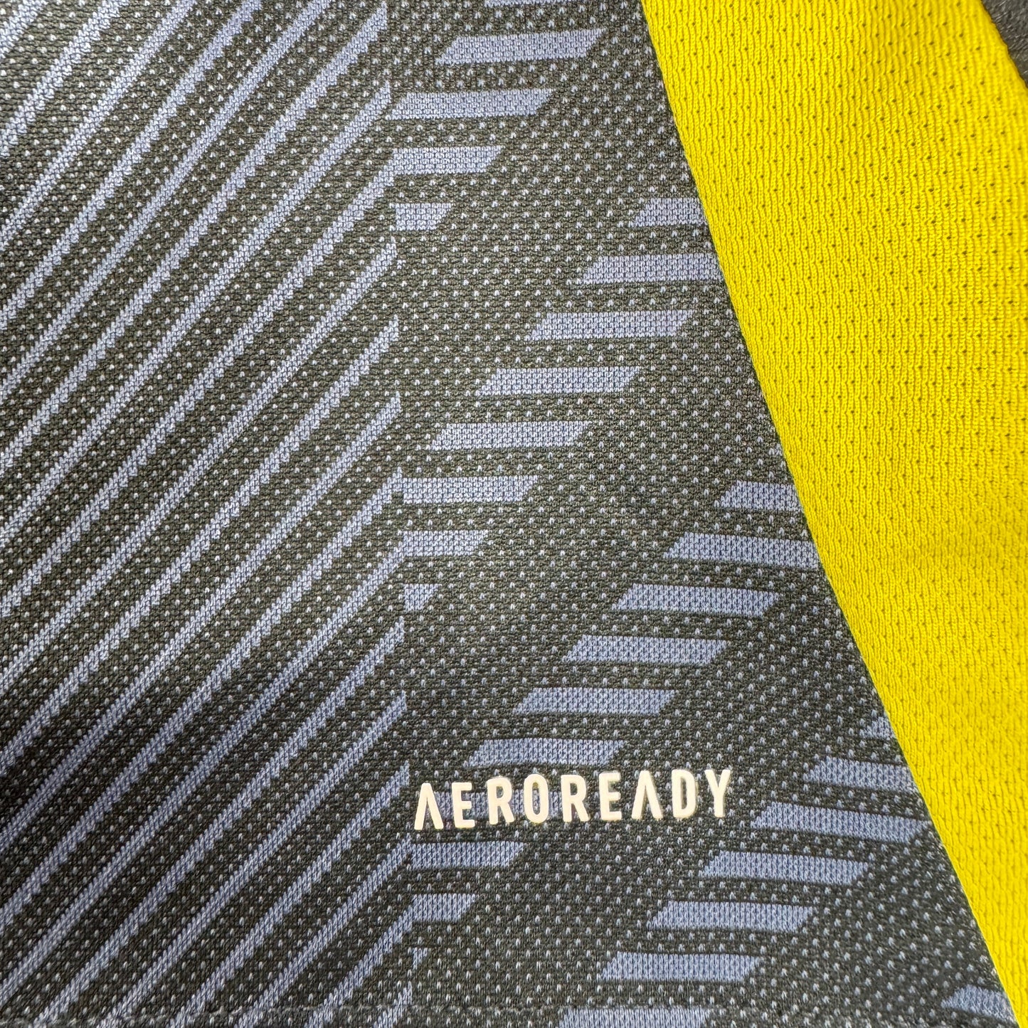Scotland 2024/2025/2026 Home Shirt XL