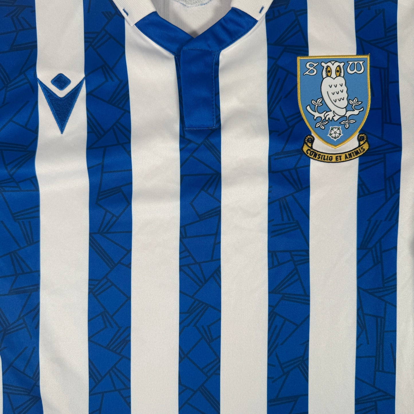 Sheffield Wednesday 2021/2022 Home Football Shirt Small