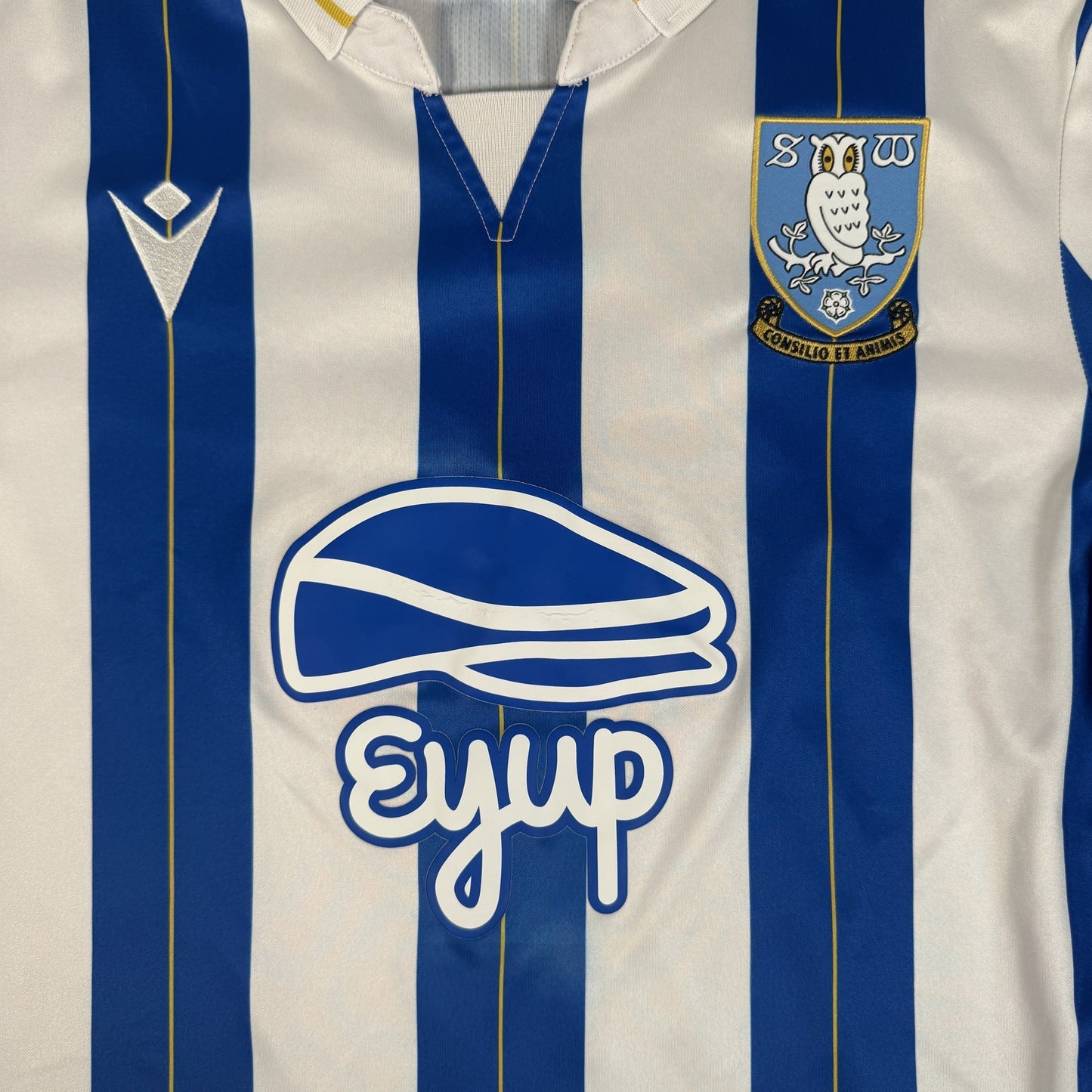 Sheffield Wednesday 2023/2024 Home Shirt Large