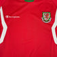 Wales 2008/2009/2010 Home Football Shirt Small