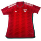 Wales 2022/2023/2024 Home Football Shirt Large