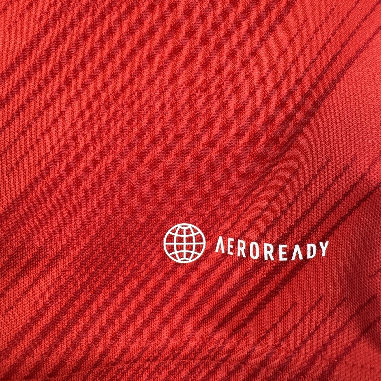 Wales 2022/2023/2024 Home Football Shirt XL
