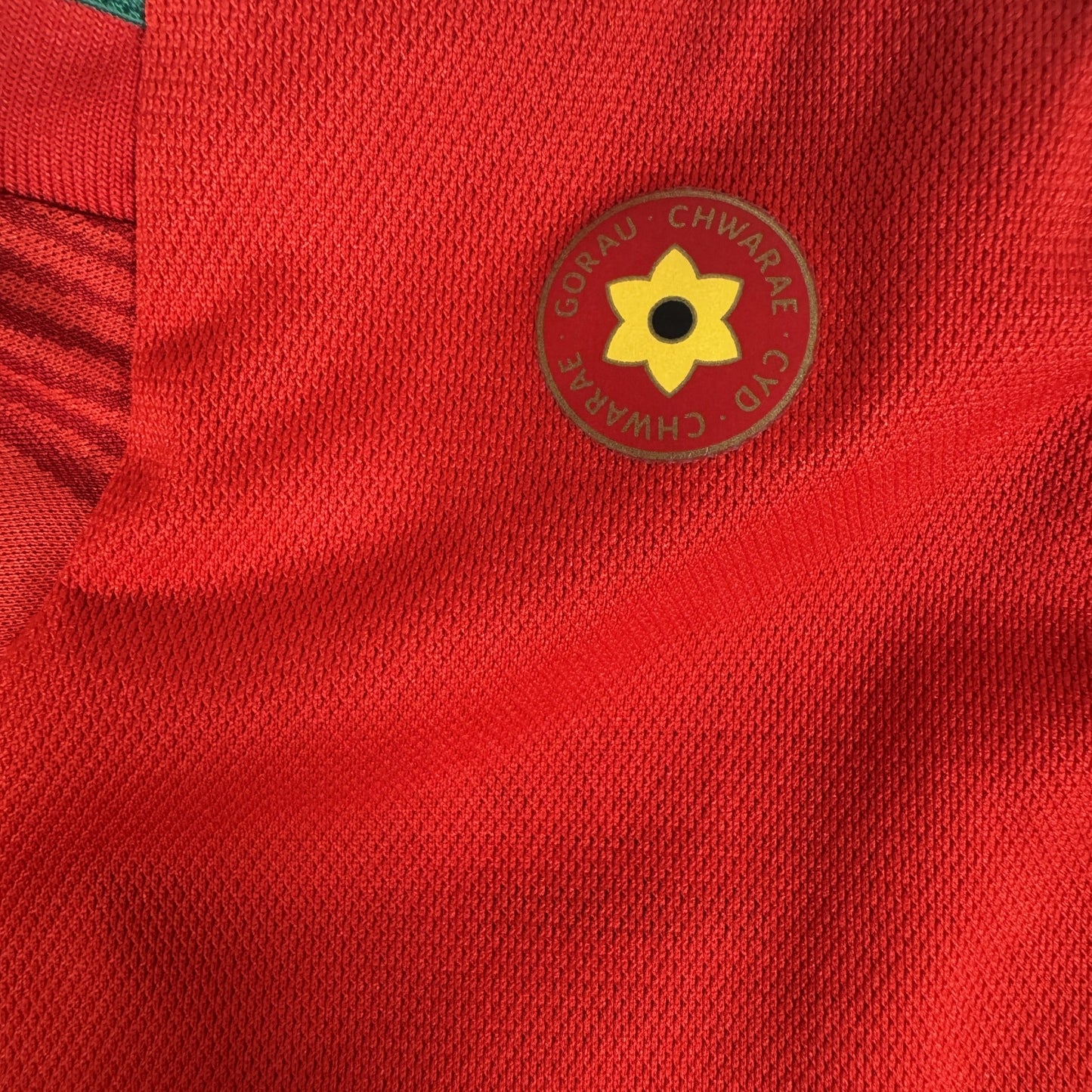 Wales 2022/2023/2024 Home Football Shirt XL