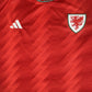 Wales 2022/2023/2024 Home Shirt XXL