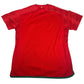 Wales 2022/2023/2024 Home Football Shirt 2XL