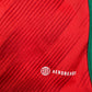 Wales 2022/2023/2024 Home Football Shirt 3XL
