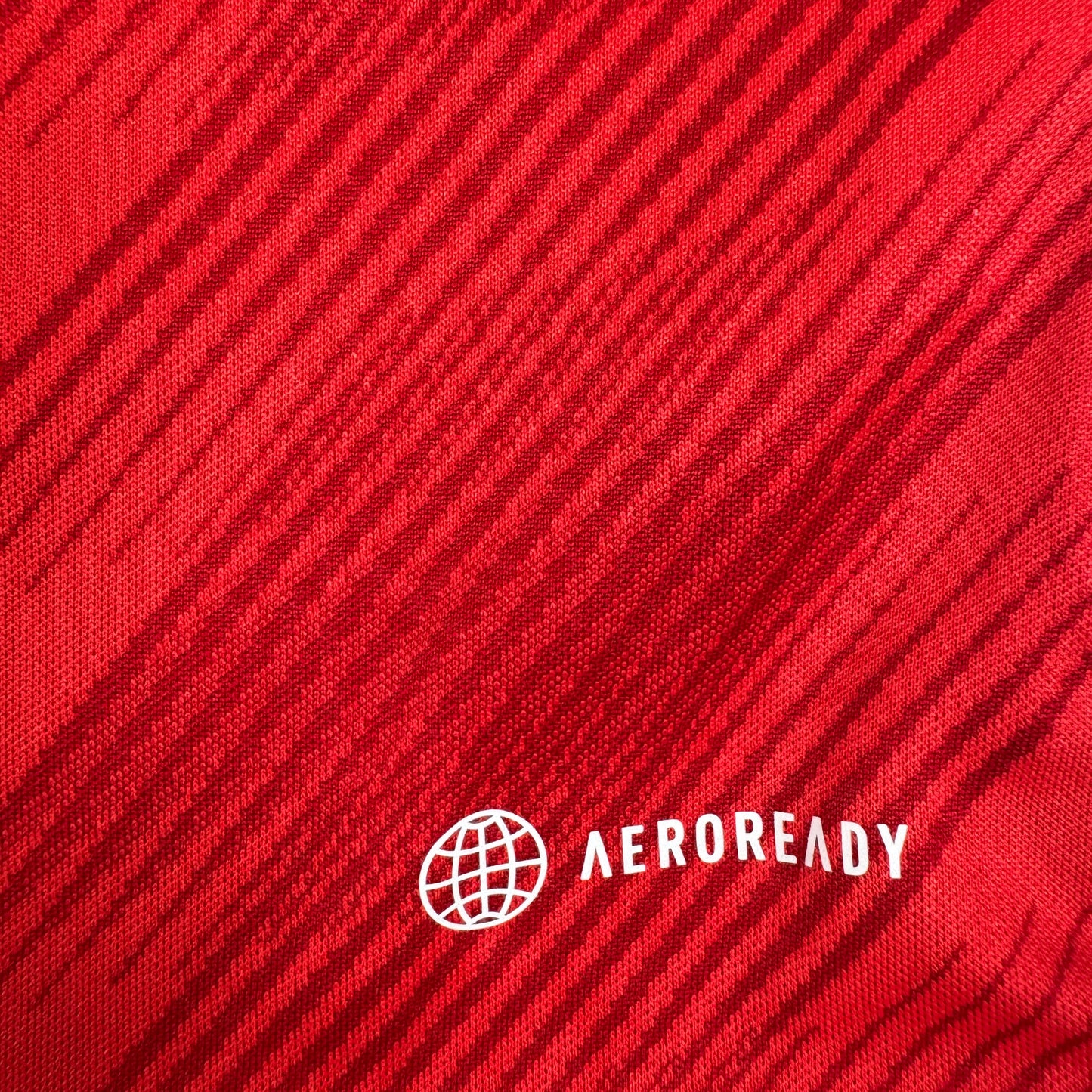Wales 2022/2023/2024 Home Shirt Large