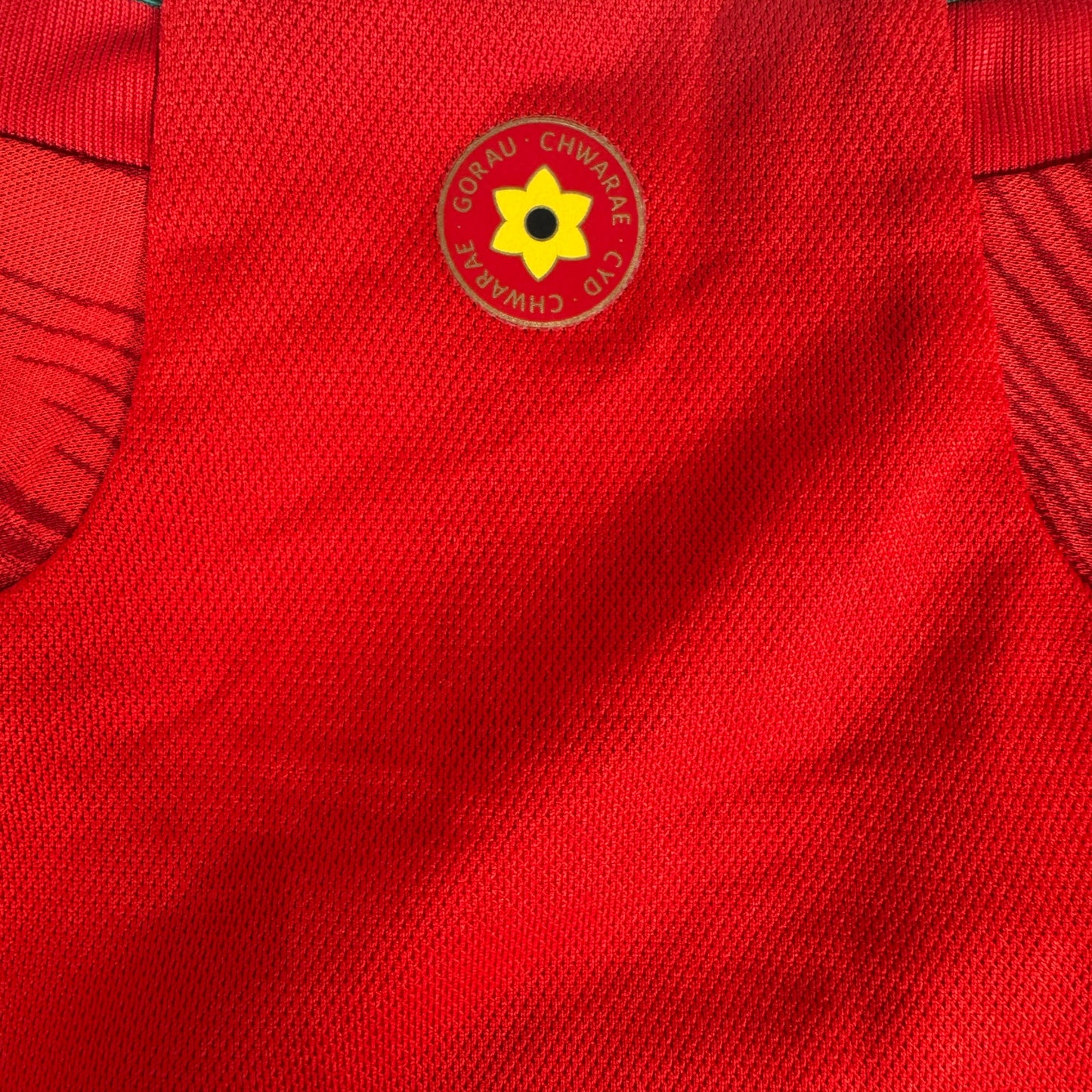 Wales 2022/2023/2024 Home Shirt Large