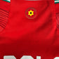 Wales 2022/2023/2024 Home Shirt Medium BALE 11