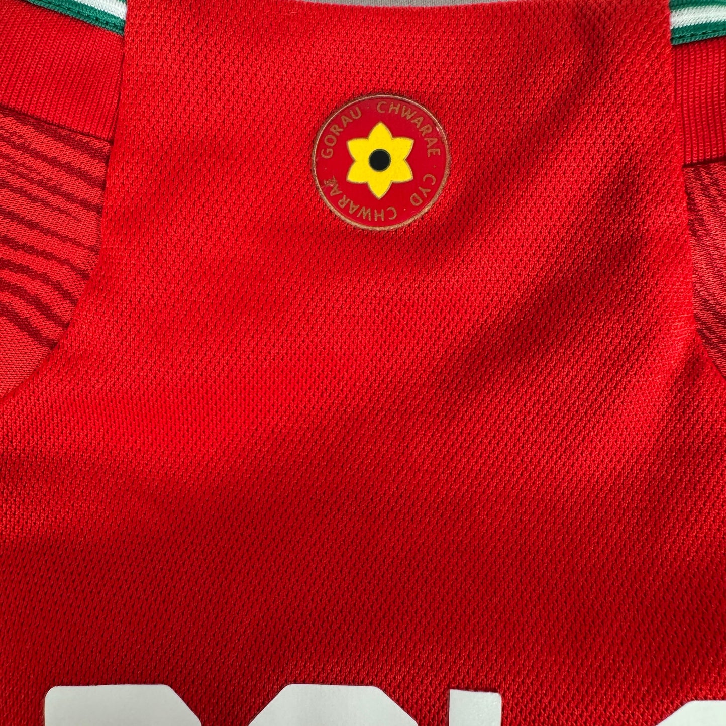 Wales 2022/2023/2024 Home Shirt Medium BALE 11