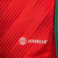 Wales 2022/2023/2024 Home Shirt Medium BALE 11