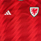 Wales 2022/2023/2024 Home Football Shirt Medium