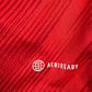 Wales 2022/2023/2024 Home Football Shirt Medium