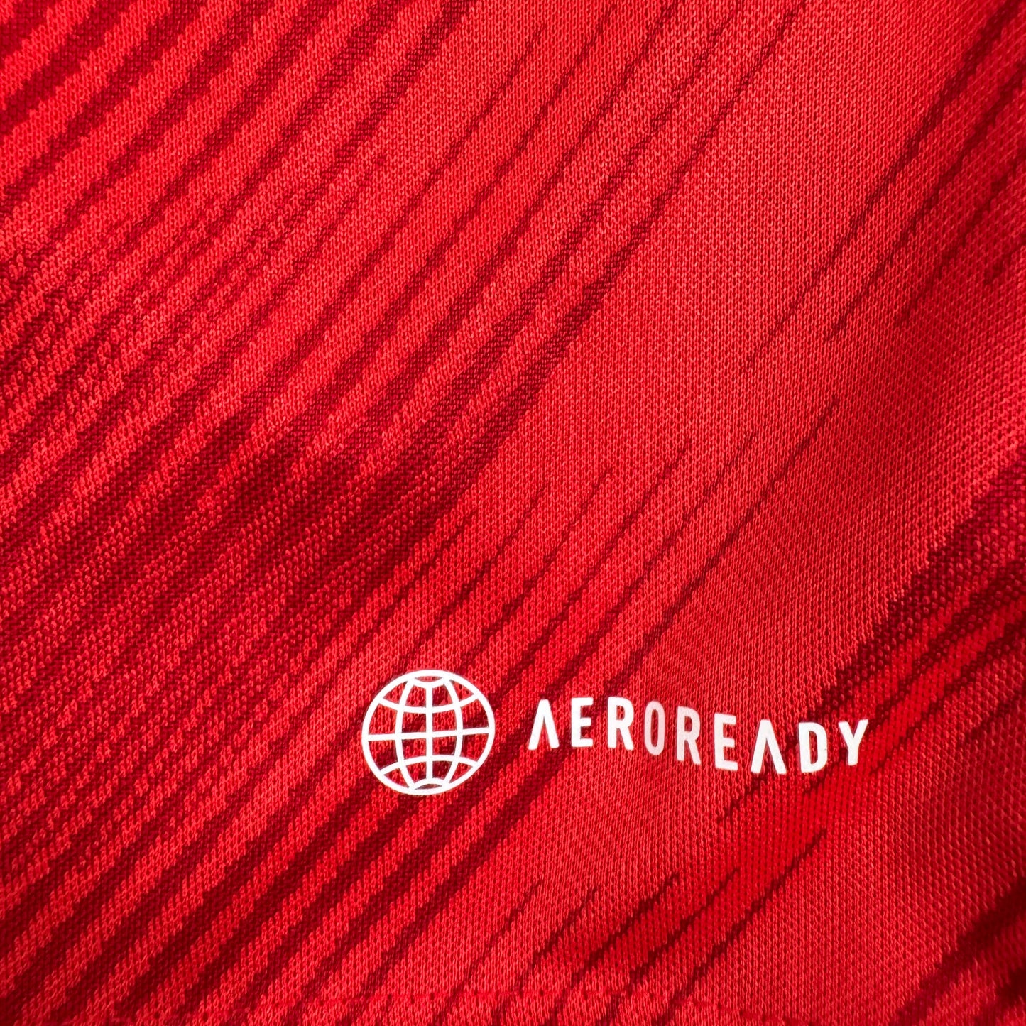Wales 2022/2023/2024 Home Football Shirt Medium