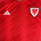 Wales 2022/2023/2024 Home Football Shirt XL