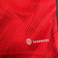 Wales 2022/2023/2024 Home Football Shirt XL