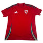 Wales 2024/2025/2026 Home Shirt Large