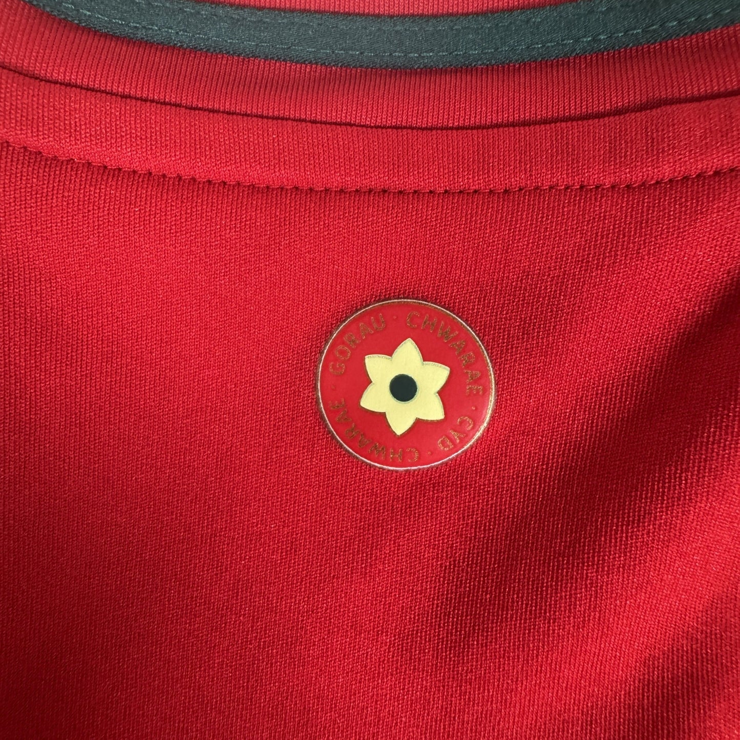Wales 2024/2025/2026 Home Shirt Large