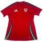Wales 2024/2025/2026 Home Football Shirt Large