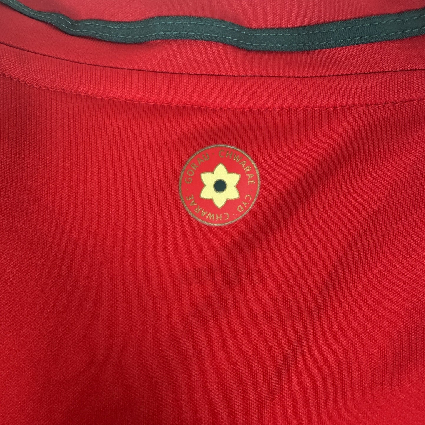 Wales 2024/2025/2026 Home Football Shirt Large