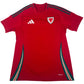 Wales 2024/2025/2026 Home Football Shirt Large