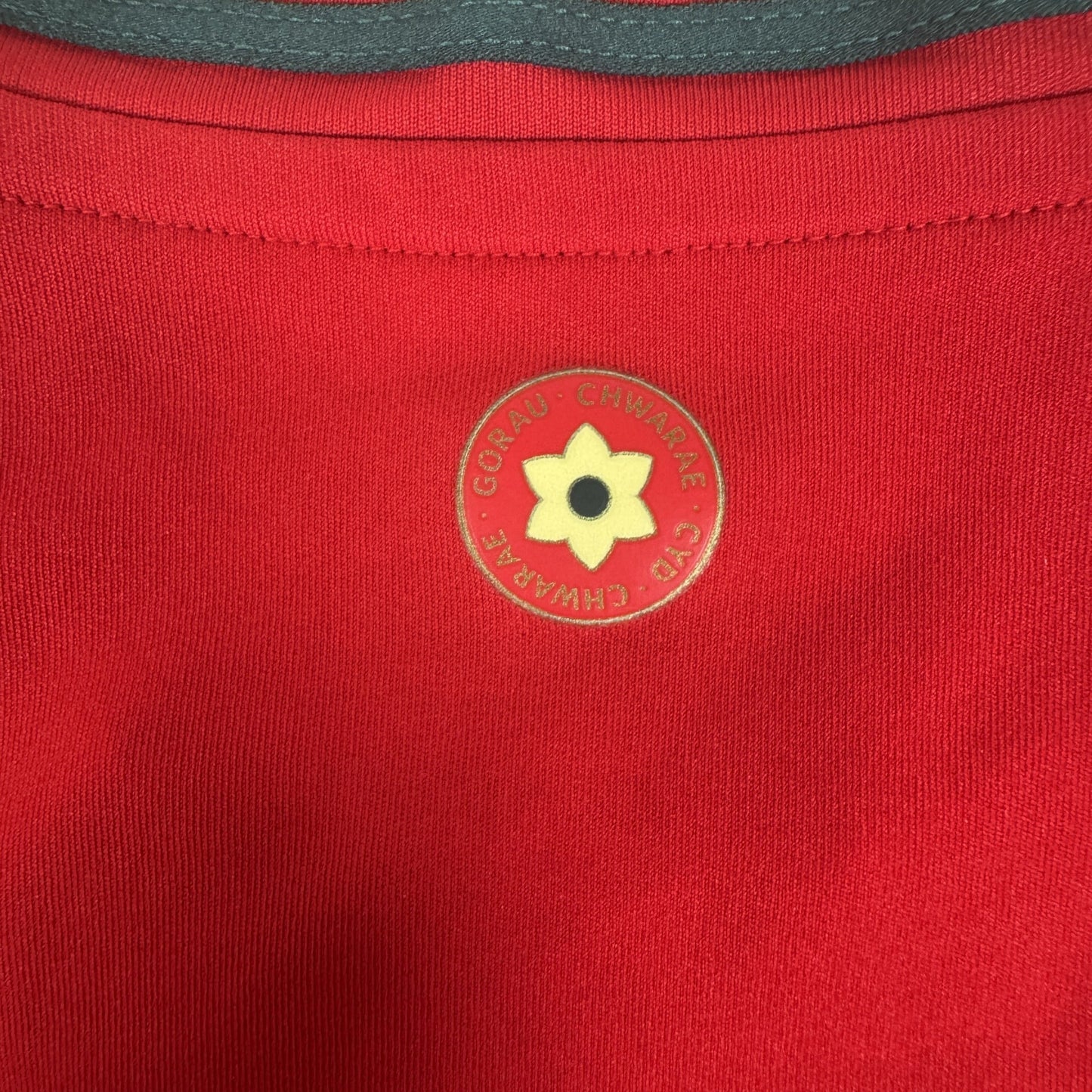 Wales 2024/2025/2026 Home Football Shirt Large