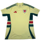 Wales 2024/2025 Away Football Shirt Large
