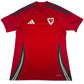 Wales 2024/2025/2026 Home Shirt Medium