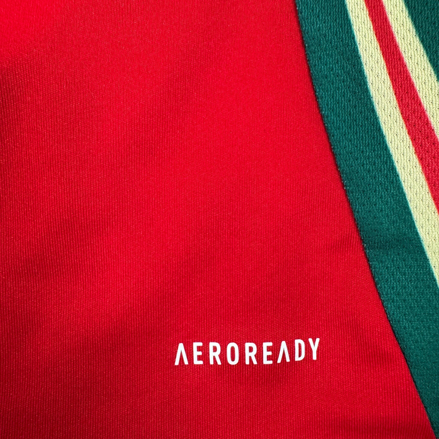 Wales 2024/2025/2026 Home Shirt Medium