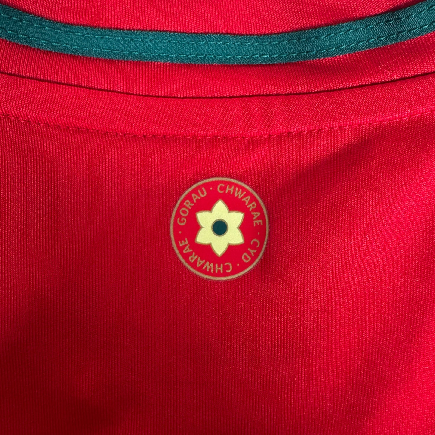 Wales 2024/2025/2026 Home Shirt Medium